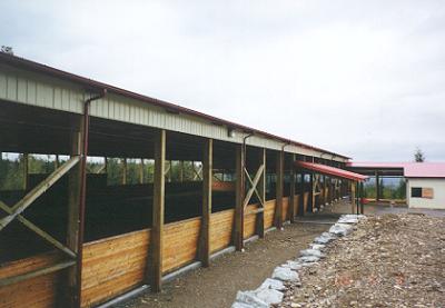 Bracing on a large covered arena